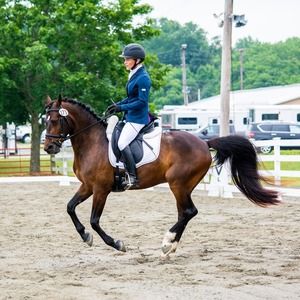 Meet your Posher, Beth